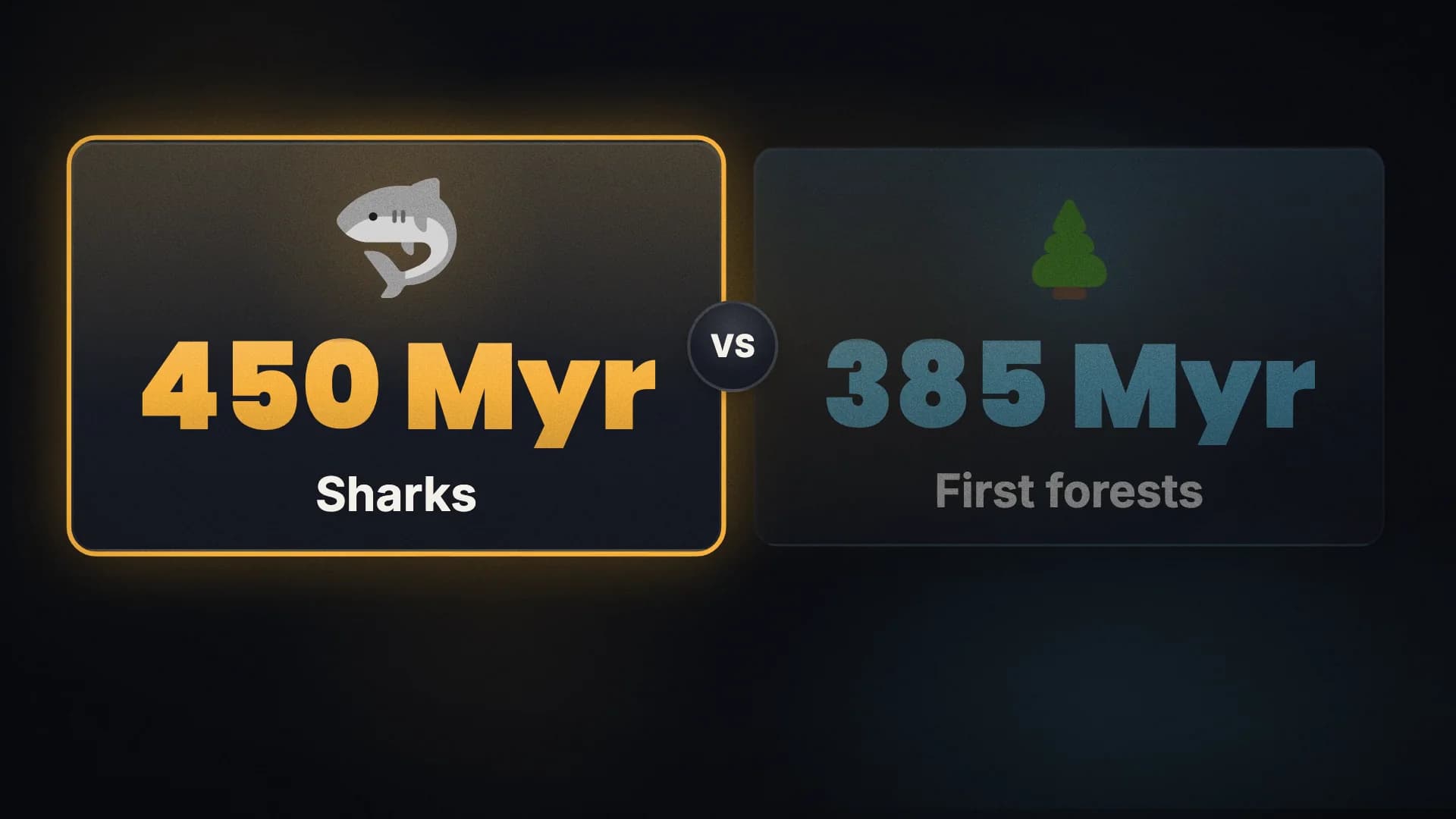 An animated graphic drawn as This vs that: Sharks are older than trees. They've been swimming for around 450 million years. The first forests only appeared about 385 million years ago.